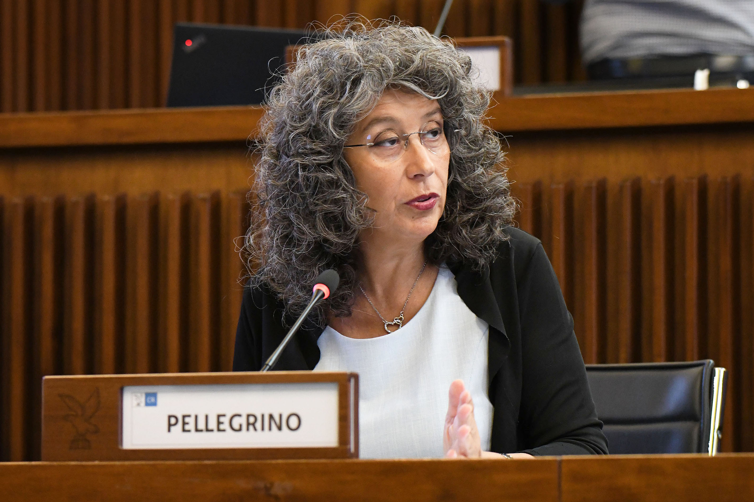 PROVINCE. PELLEGRINO (AVS): GARANTIRE PARI CONTRATTO A DIPENDENTI ENTI